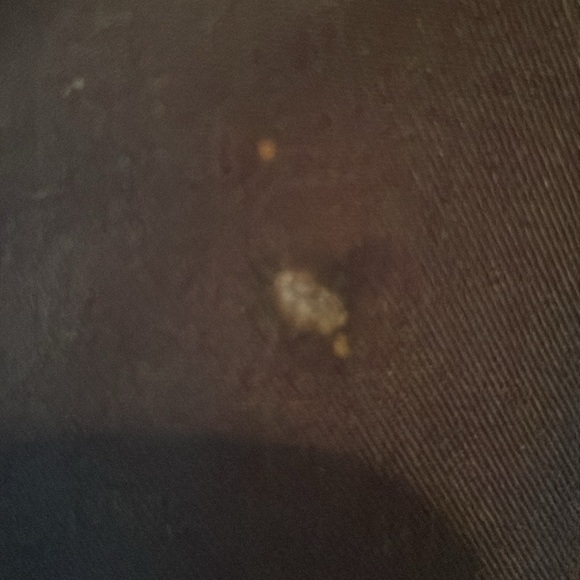 Awesome, BLACK and Taylor loft dress pants but very very comfortable. Well worn. - Picture 3 of 3